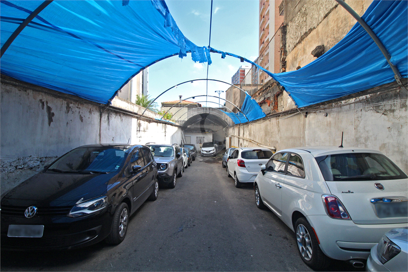 Foto REO562558
