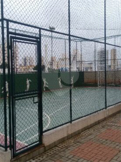 Foto REO562836