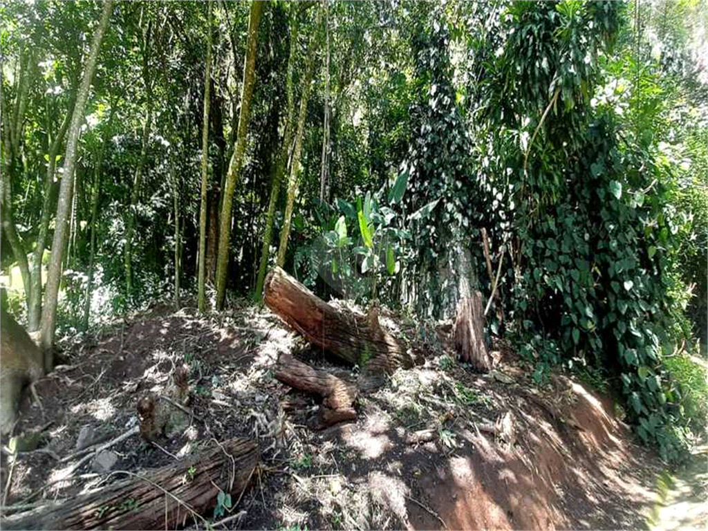 Venda Terreno Mairiporã Serra Da Cantareira REO562990 9