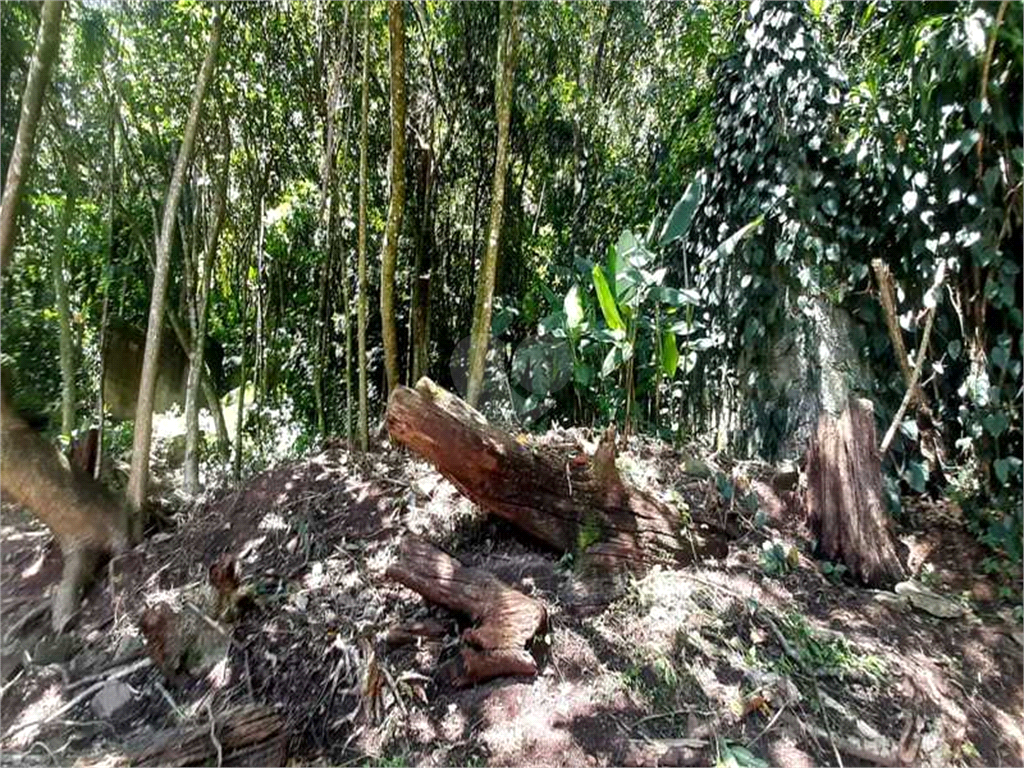 Venda Terreno Mairiporã Serra Da Cantareira REO562990 5