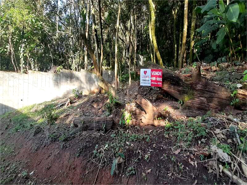 Venda Terreno Mairiporã Serra Da Cantareira REO562990 18