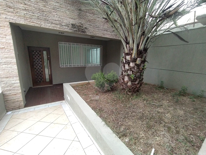 Aluguel Casa São Paulo Chora Menino REO563530 40