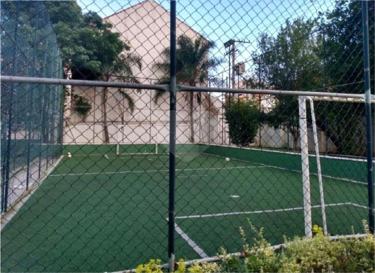 Foto REO564014