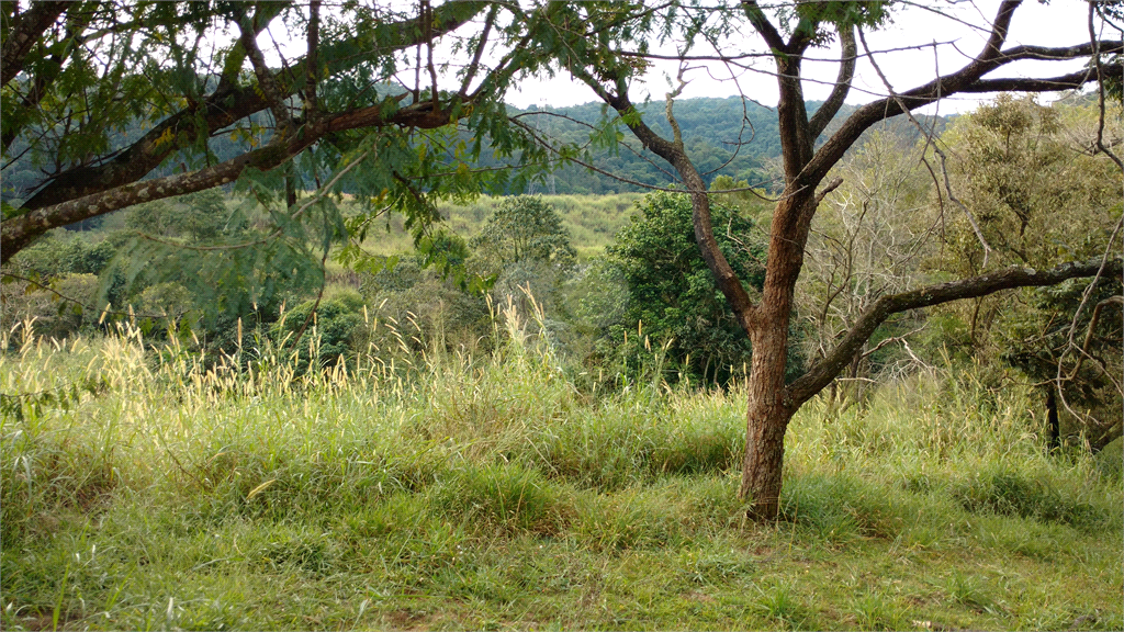 Venda Terreno São Paulo Vila Santos REO564113 3