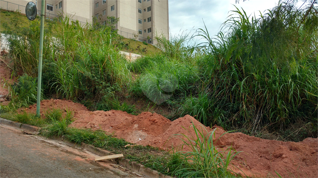 Venda Terreno São Paulo Vila Santos REO564113 2