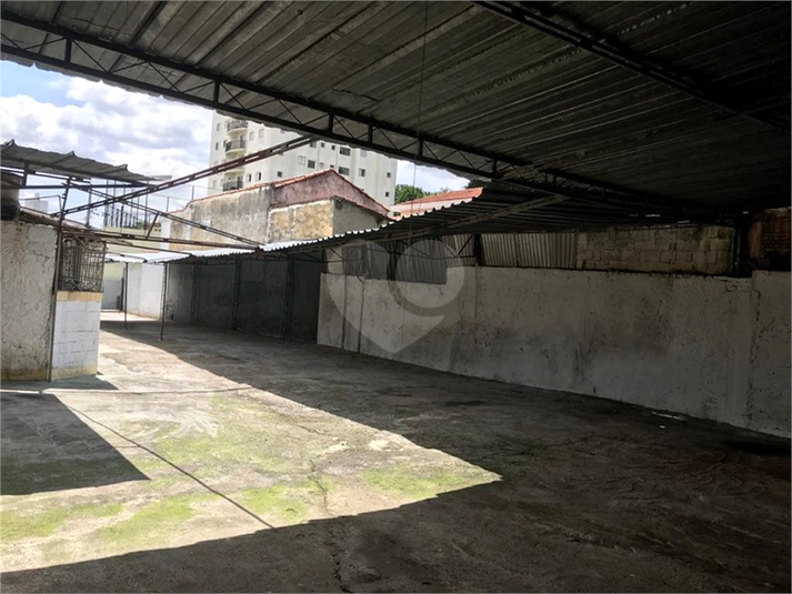 Aluguel Terreno São Paulo Vila Ede REO564149 5