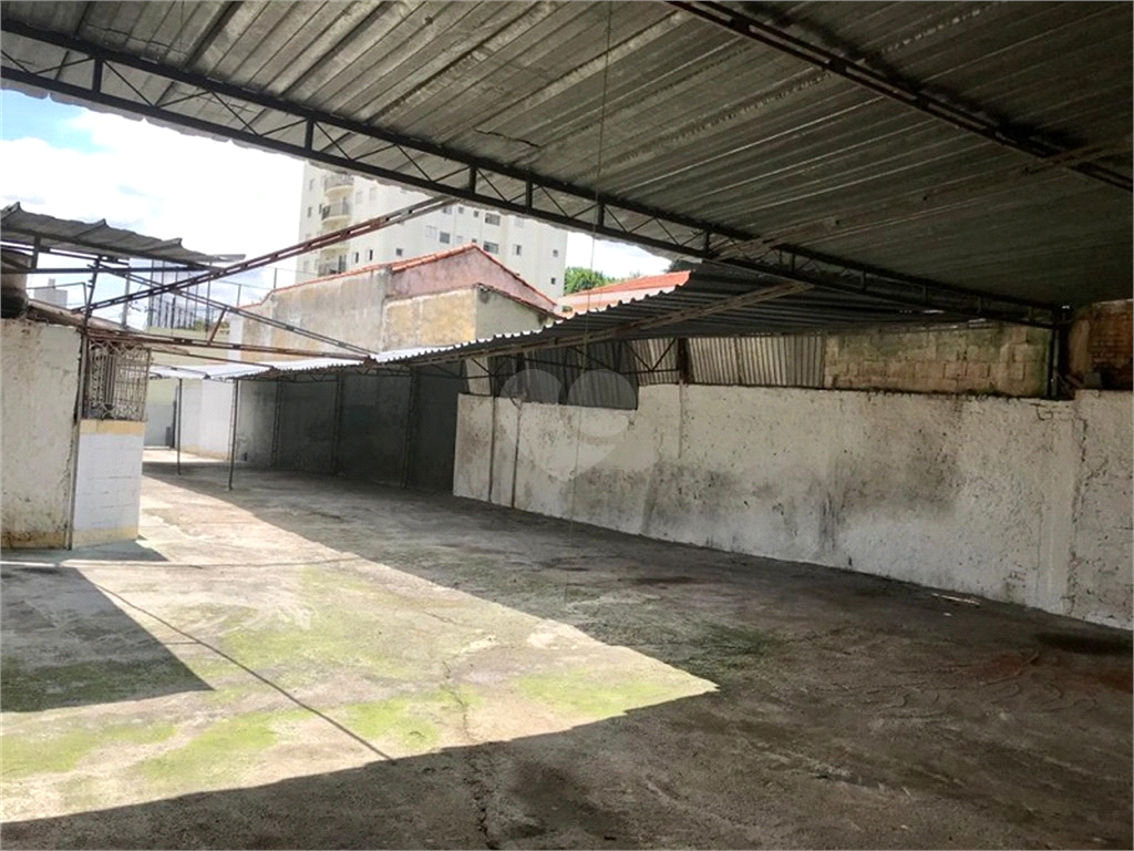 Aluguel Terreno São Paulo Vila Ede REO564149 19