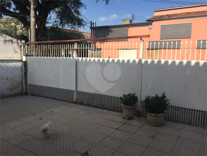 Foto REO564150