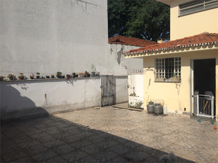 Foto REO564150