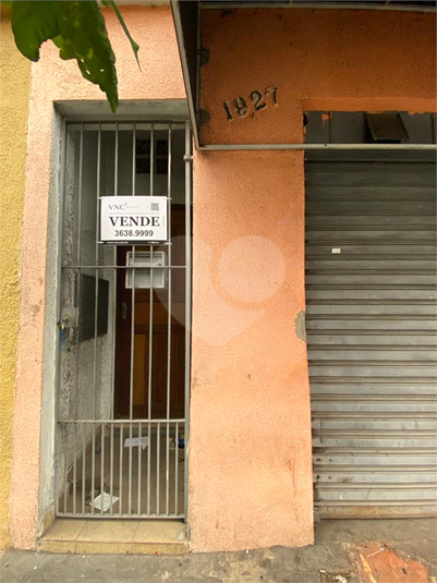 Foto REO564248