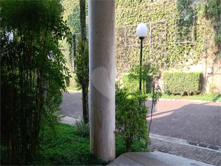 Foto REO564456