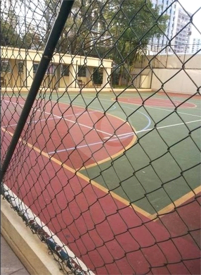 Foto REO564688