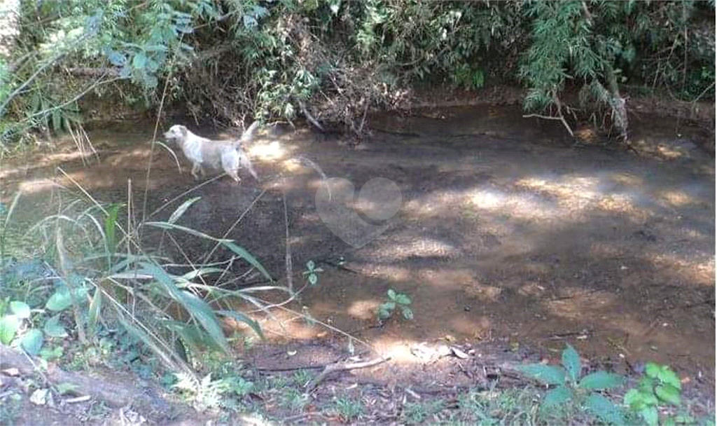 Venda Sítio Pirapora Do Bom Jesus Centro REO564885 21