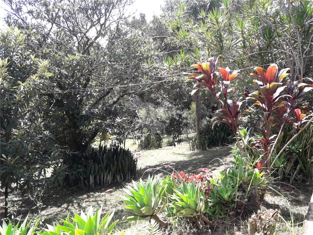 Venda Sítio Pirapora Do Bom Jesus Centro REO564885 33