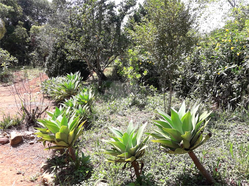 Venda Sítio Pirapora Do Bom Jesus Centro REO564885 17