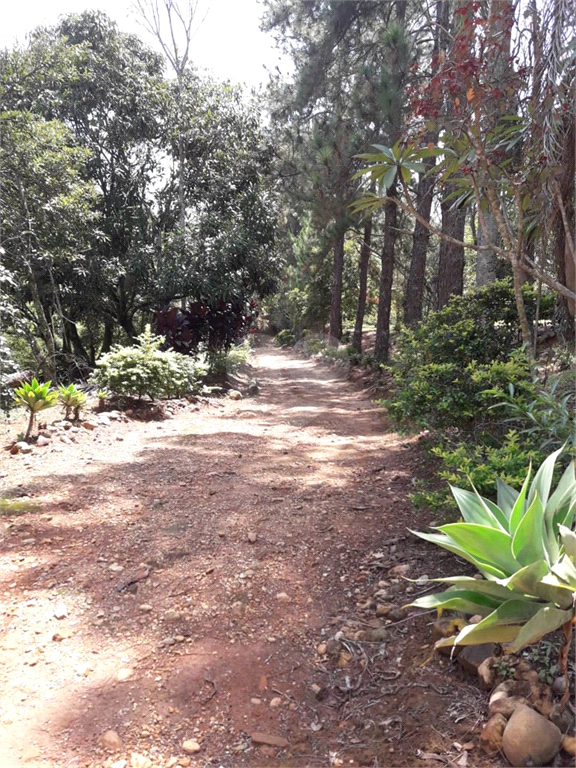 Venda Sítio Pirapora Do Bom Jesus Centro REO564885 31