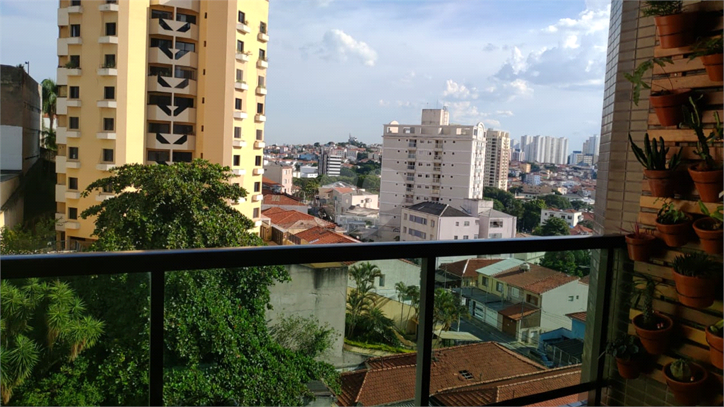 Venda Apartamento São Paulo Vila Paulicéia REO565058 7