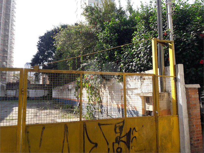 Foto REO565212