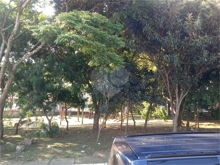 Foto REO565954