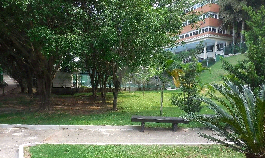 Venda Sobrado São Paulo Jardim Vitória Régia REO565981 21