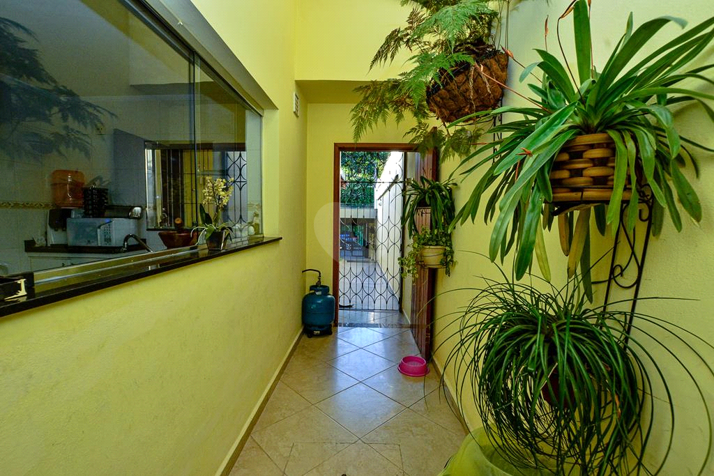 Venda Casa térrea São Paulo Mirandópolis REO566066 44