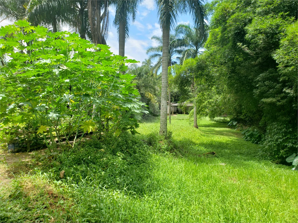 Venda Terreno São Paulo Vila Amélia REO566827 9