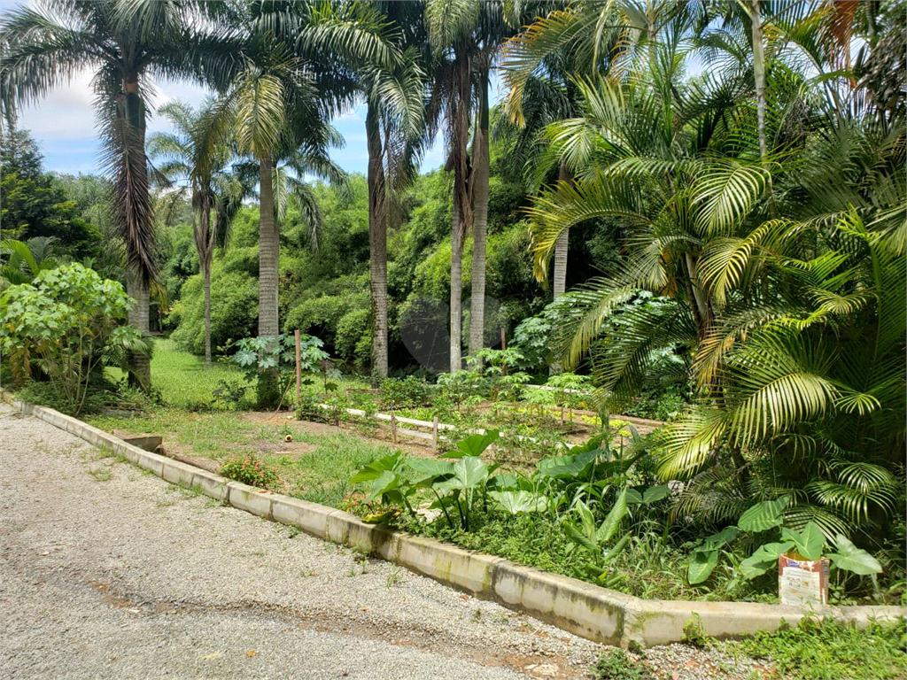 Venda Terreno São Paulo Vila Amélia REO566827 34