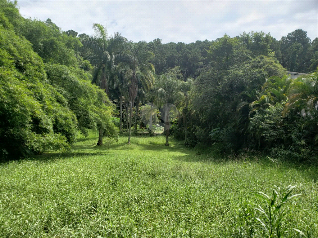 Venda Terreno São Paulo Vila Amélia REO566827 27