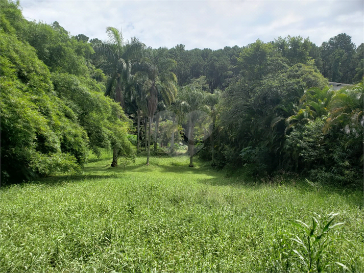 Venda Terreno São Paulo Vila Amélia REO566827 30