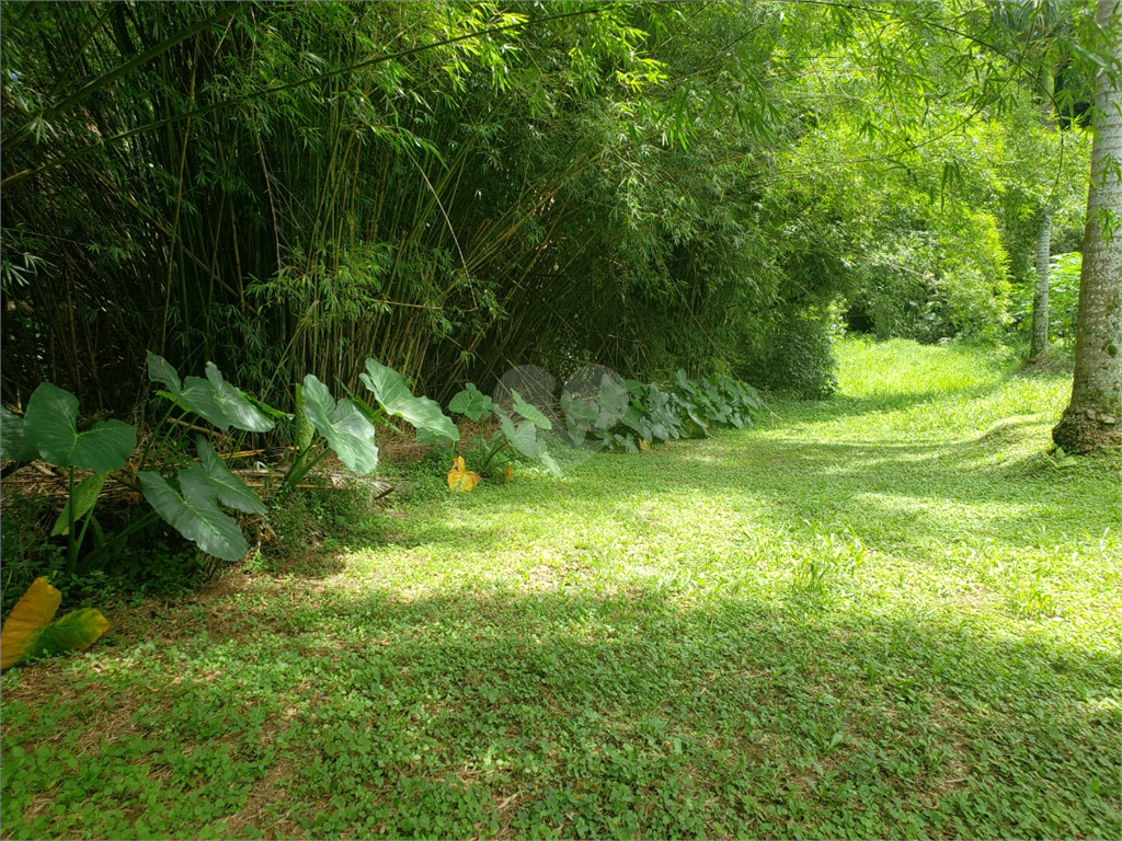 Venda Terreno São Paulo Vila Amélia REO566827 13