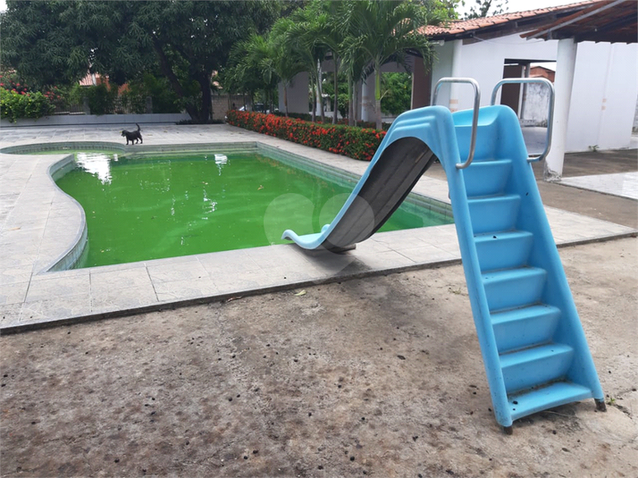 Foto REO567187
