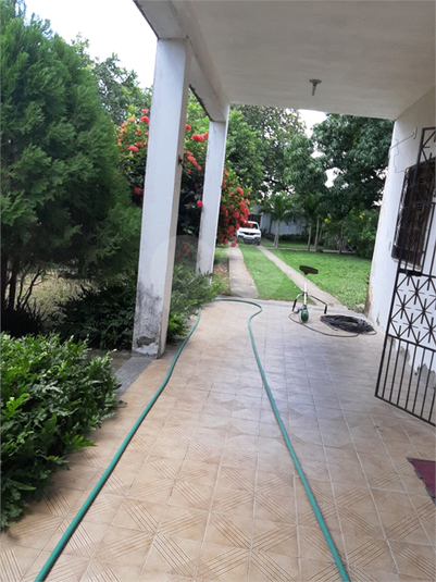 Foto REO567187
