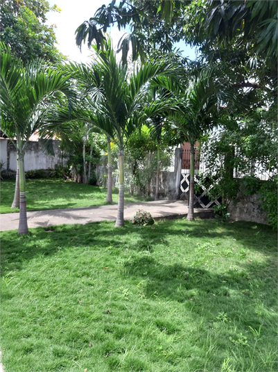 Foto REO567187