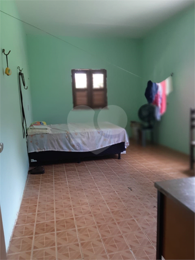 Foto REO567187