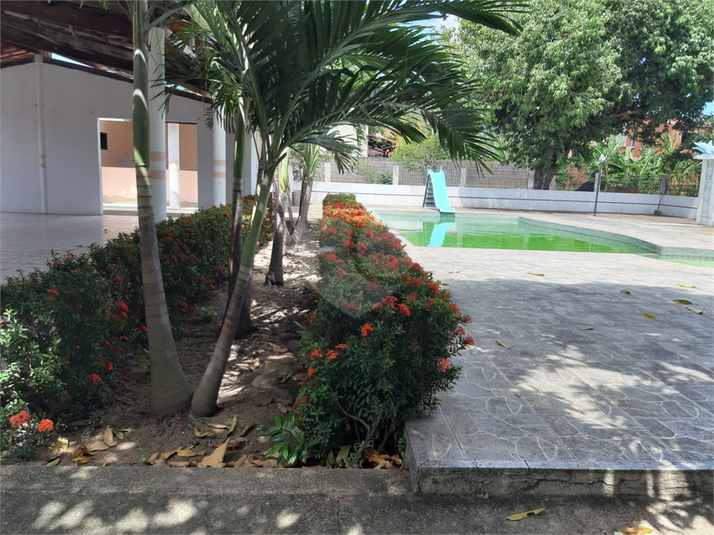 Foto REO567187