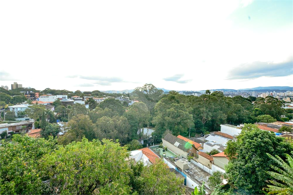 Venda Casa São Paulo Vila Ipojuca REO567547 54