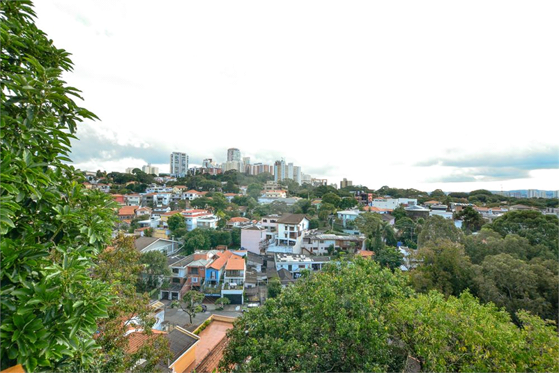 Foto REO567547