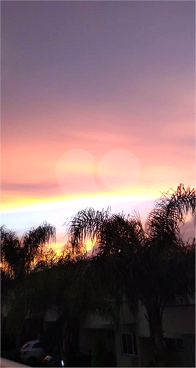Foto REO567653