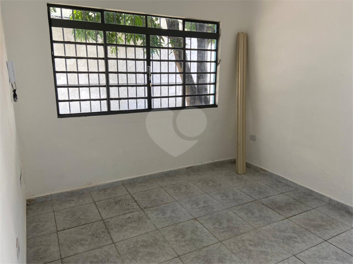 Foto REO567803