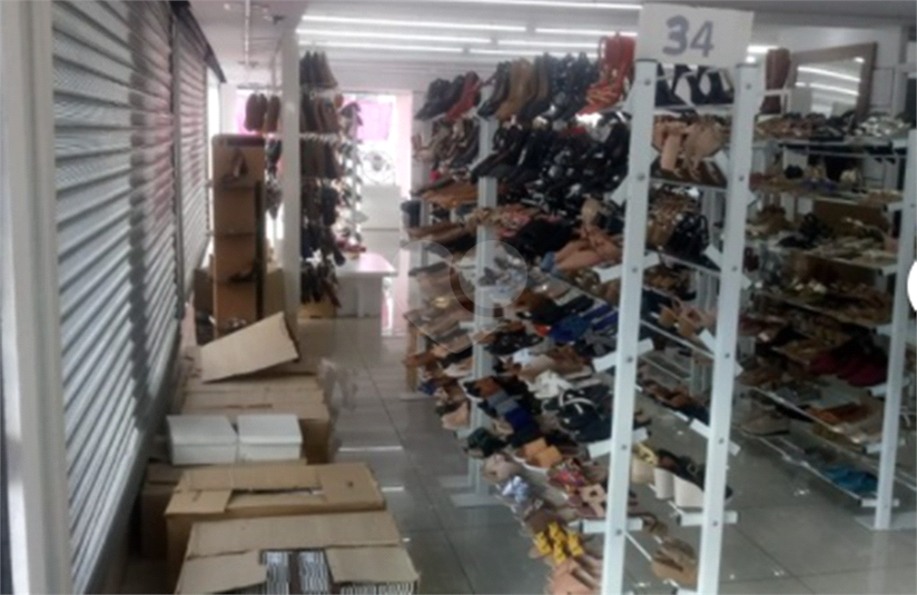 Foto REO567941