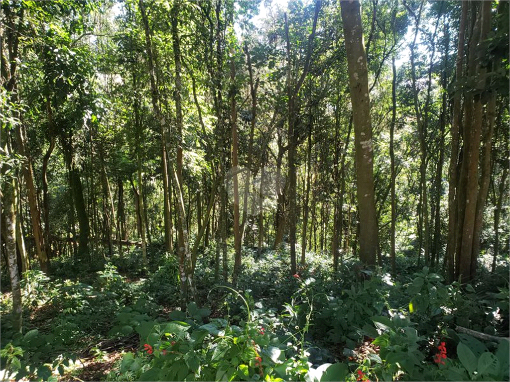 Venda Terreno Mairiporã Serra Da Cantareira REO567986 14