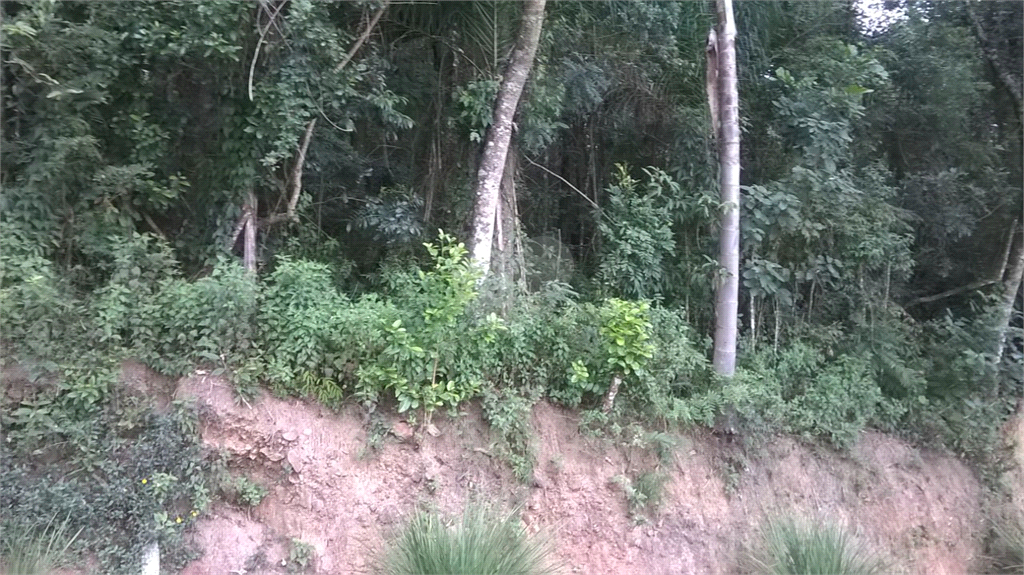 Venda Terreno Mairiporã Serra Da Cantareira REO568235 4