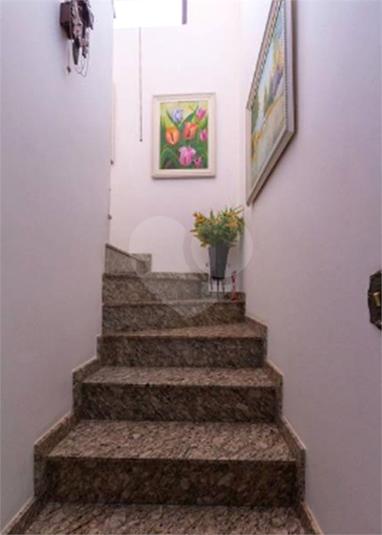 Foto REO568351