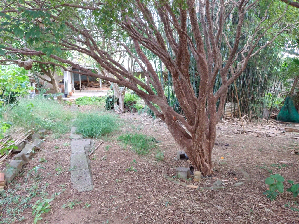 Venda Terreno São Paulo Vila São Paulo REO568597 7