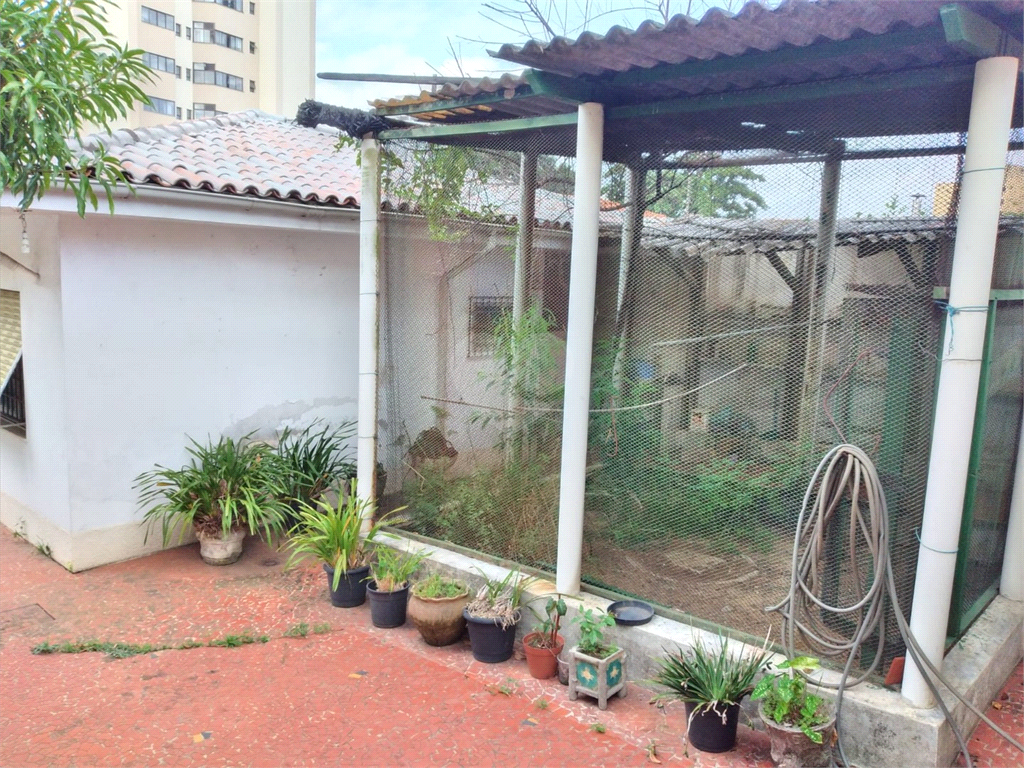 Venda Terreno São Paulo Vila São Paulo REO568597 38