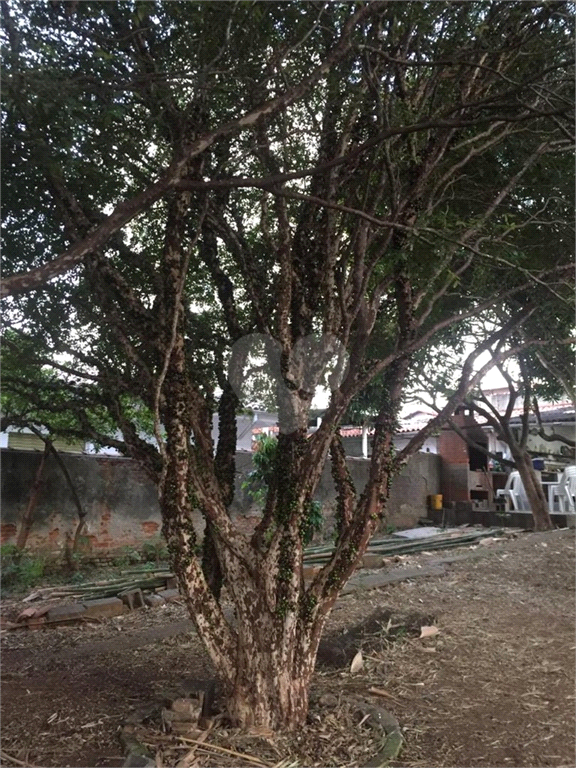 Venda Terreno São Paulo Vila São Paulo REO568597 13