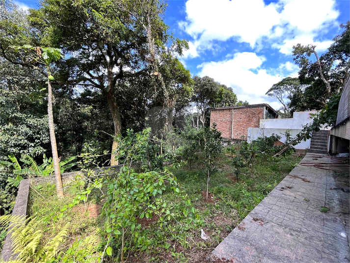 Foto REO568676