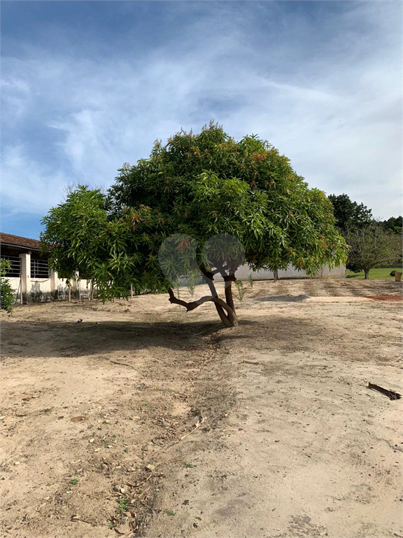 Venda Sítio Indaiatuba Parque Residencial Indaiá REO569278 32