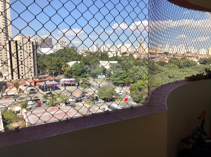 Foto REO569405