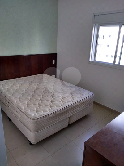 Foto REO569606